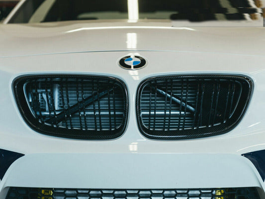 BMW F87 M2 Carbon Fiber Front Grille 2014-2019
